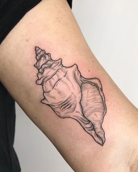 Crispy Francis on Instagram: “A conch shell! This was fun and different.” Ocean Sleeve Tattoos, Shell Tattoo, Seashell Tattoos, Shell Tattoos, Petit Tattoo, Sea Tattoo, Ocean Tattoos, Top Tattoos, Tattoo Supplies