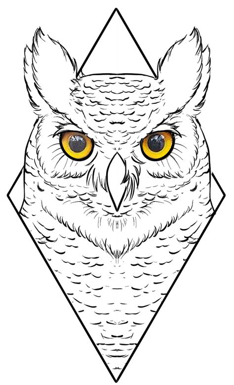 Owl Tattoo Stencil, Owl Line Drawing, Owl Stencil, Owl Outline, Owl Tattoo Drawings, Lion Art Tattoo, Cool Tattoo Drawings, Tattoo Outline Drawing, Lion Tattoo Design