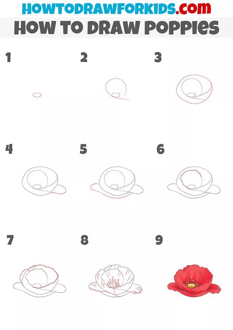 How to Draw Poppies - Easy Drawing Tutorial For Kids How To Draw Poppies Easy, Poppy Drawing Simple Step By Step, How To Draw A Poppy Flower Step By Step, How To Draw A Poppy, How To Draw A Poppy Flower, Poppy Flower Step By Step, Poppy Drawing Simple, How To Draw Poppies, Draw Poppies