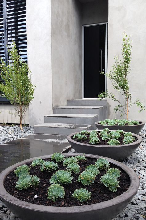 Create a front entry feature garden with planter bowls and succulents. Landscape feature garden with succulent pots. Adding pots to your garden and garden design creates an instant garden feature. Front Entry Landscaping, Small Front Gardens, Front Garden Ideas, Yard Maintenance, Dry Desert, Yard Garden Design, Front Garden Landscape, Front Garden Design, Front Yard Garden Design