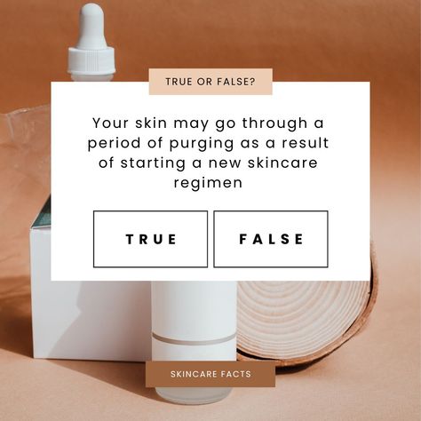 Let’s see how much you know about starting a new skincare regime? Tell us if it’s true or false in the comment section below #indranicosmetics #skincare #skincareroutine #skincaretips #trueorflase #commentbelow #skintexture #skincareregime #commentsection True Or False Skincare Edition, Skincare Questions Instagram, Skincare Story Ideas, Skincare Quiz, Skincare Clinic, True Or False Questions, False Facts, Skincare Facts, Cosmetic Inspiration