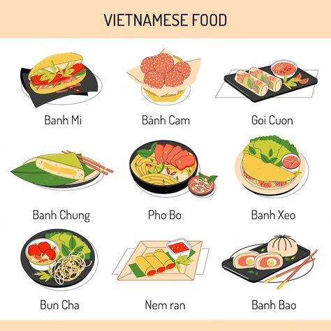 Premium Vector | Bright vector illustration of asian food Vietnamese Breakfast, Chinese Cuisine Recipes, Chinese Food Menu, Vegetarian Pho, Vietnamese Foods, Traditional Chinese Food, Recipe Book Design, Food Reference, Spring Roll Recipe