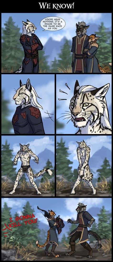 Skyrim Drawing, Elder Scrolls Funny, Skyrim Comic, Skyrim Fanart, Elder Scrolls Oblivion, Elder Scrolls Memes, Skyrim Funny, Scrolls Game, Skyrim Art