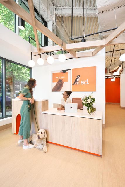 West Village Nyc, Virtual Care, Reception Desk Design, Shop Desk, Small Door, Dog Hotel, Pet Spa, Pet Hotel, Hospital Design