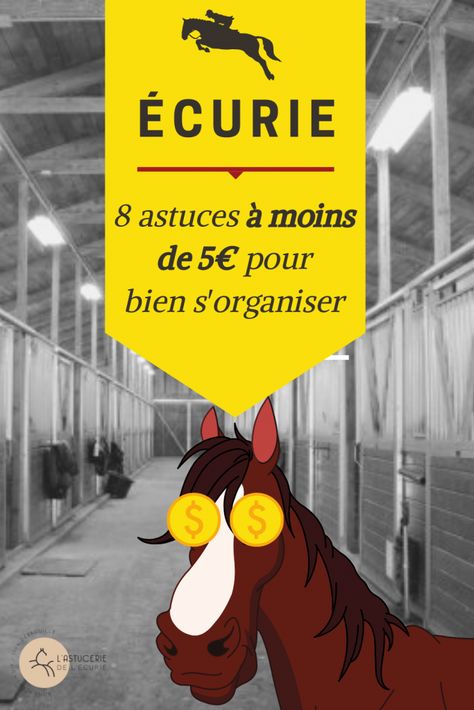 Equestrian, Armoire, Pikachu, Horses, Organisation