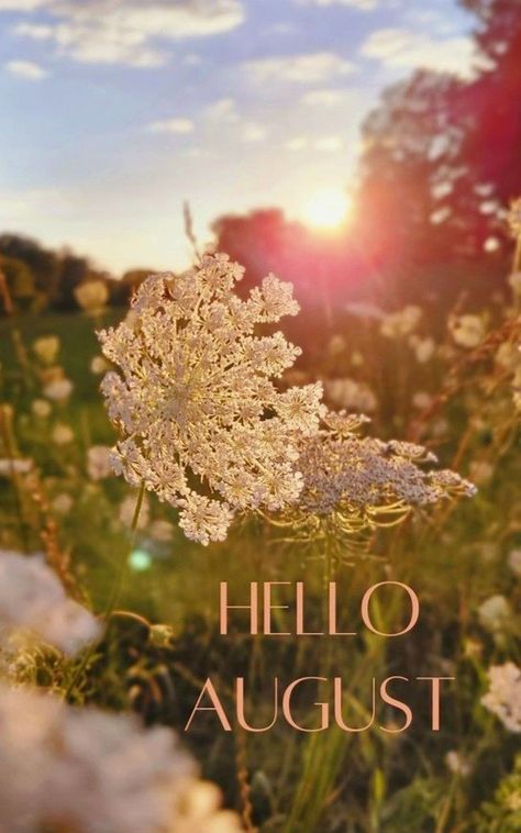 Hello August Images, August Weather, August Pictures, August Images, Neuer Monat, August Wallpaper, August Flowers, August Summer, Coastal Wallpaper