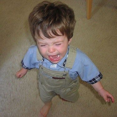 "Toddlers Are Not Crazy: How to Beat Tantrums" - What if your toddler hasn't completely lost it? A simple method for taming tantrums without fighting. Box Of Candy, Throwing Tantrums, On The Floor, Tell Her, The Floor, Grocery Store, Tell Me, Baby Face, Parenting