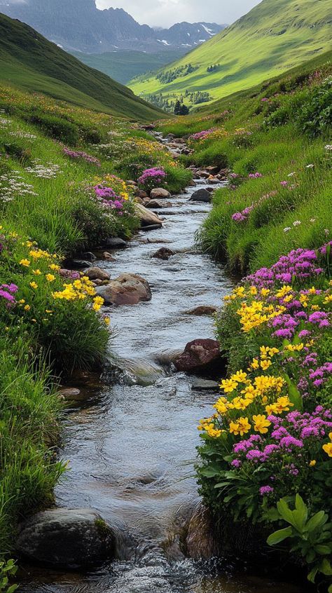 Prompt 👉A stream flowing through a lush green valley, Werner Andermatt, field of mixed flowers, iralki nadar, pink and yellow flowers, stream of love and happiness, andes, sparkling in the current stream, Gina Heyer, striking beauty, mobile wallpaper, wildflowers and grasses, peaceful, omg, professional photography 👉 if Like, please Follow and Share AI Graphics Studio 👇Contact on WhatsAPP: http://tiny.cc/aigraphicsstudio #aigraphicsstudio #AI #DigitalMarketing #digitalartist #digitalart #di... Stream Nature, Meadow With Stream, Flower Valley, Eden Aesthetic, Eden Rock, Water Grass, Valley Of Flowers, Valley Flowers, Rock Flowers