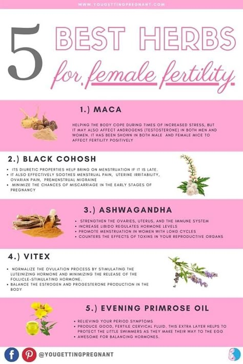 Herbs For Fertility, Fertility Vitamins, How To Increase Fertility, Fertility Boosters, Increase Fertility, Fertility Supplements, Fertility Foods, Womb Healing, Fertility Health