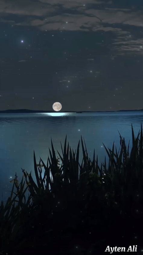 Peaceful Night Aesthetic, Water Magic Gif, Goodnight Gifs, Animated Landscape, Moon Gif, Good Night Beautiful, Relaxing Gif, Night Video, Morning Gif