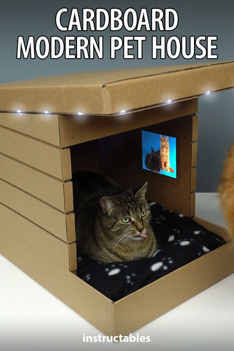 Chat Diy, Cardboard Cat House, Bike Challenge, Cat House Diy, Cardboard House, Pet House, Halloween Contest, Diy Cardboard, Cat Diy