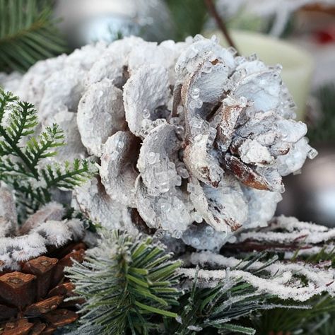 pine cone with spray snow, spray adhesive and crystals Pine Cone Christmas Decorations, Make Snow, Pinecone Crafts Christmas, Pine Cone Christmas Tree, Pine Cone Art, Christmas Pine Cones, Pine Cone Decorations, Cones Crafts, Pine Cone Crafts