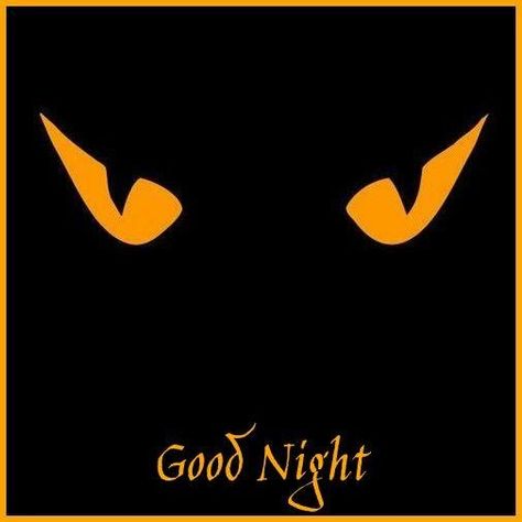 Halloween - Good Night Goodnight Halloween, Halloween Good Night, Spooky Good Night, Good Night Halloween, Halloween Good Night Pictures, Wow Emoji, Halloween 5, Meme Good Night Sweet Dreams, Halloween Everyday