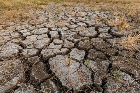 Cracked Texture, Ground Texture, Hope Light, Civil Engineering Design, Rice Fields, Soil Testing, Pattern Texture, Engineering Design, Photo Background