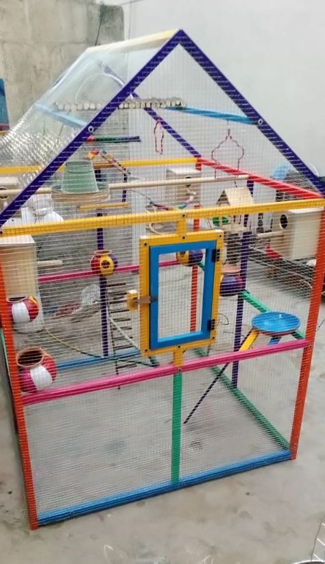 Cage for Parrots Colourful round, square, trainagle, rectangular tyes wood made cages Decorated with colourful and handmade beautiful different accessories Chakri Road Rawalindi www.facebook.com/CageForParrots Parrot Cage, Stomach Workout, Bird Cage, Pigeon, Parrot, Road, Toys, Square, Wood