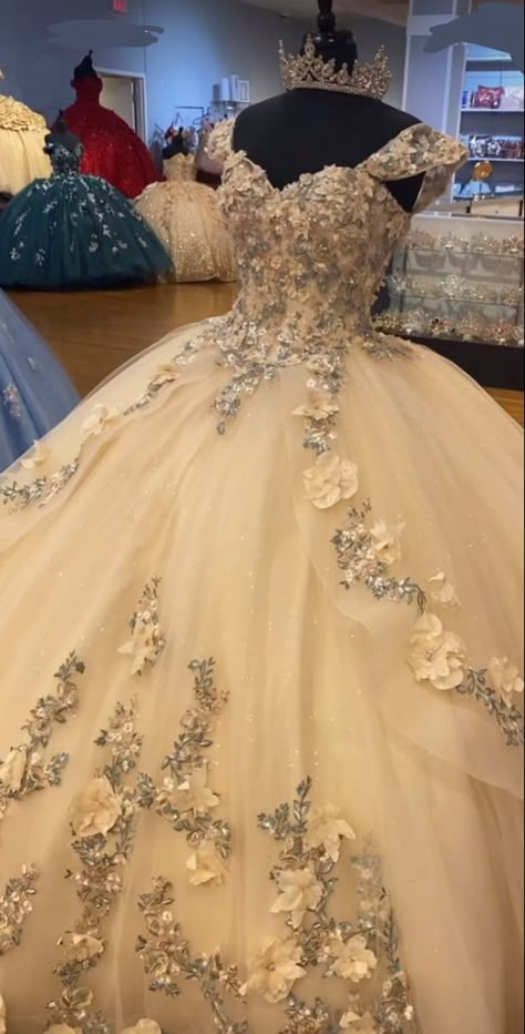 Quencinera Dresses Grey, Aesthetic Quince Dresses, Peach Sweet 16 Dresses, Quiseañero Dresses, Victorian Quinceanera Theme Dress, Quincenera Dresses Champagne Pink, Sleeveless Quinceanera Dresses, Beige Quinceanera Dresses With Flowers, Quiencera Dresses Champagne