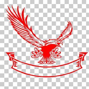 Photography Logo Maker, Bird Of Prey, Free Png Downloads, Photo Editing Photoshop, Eagle Logo, Photography Logo, Latest Colour, Photography Logos, Birds Of Prey