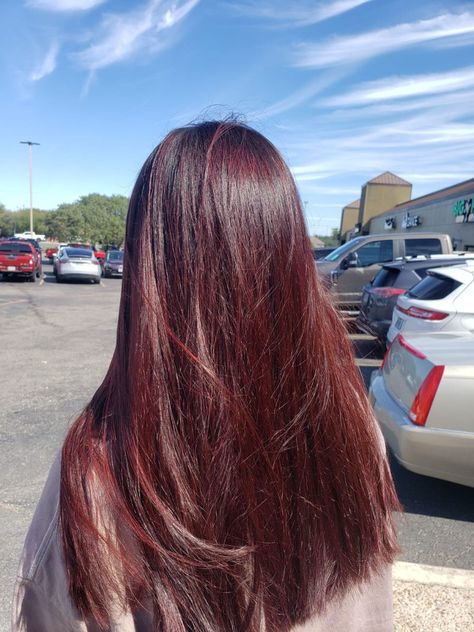 Red Types Of Hair Color, Red Hair In Brown Hair, Red Hair Dye Over Brown, Natural Haircolour Dye, Cute Colours To Dye Your Hair, Red Dye Over Brown Hair, Red In Brown Hair, Red Hair Over Brown, Red Ish Brown Hair Color