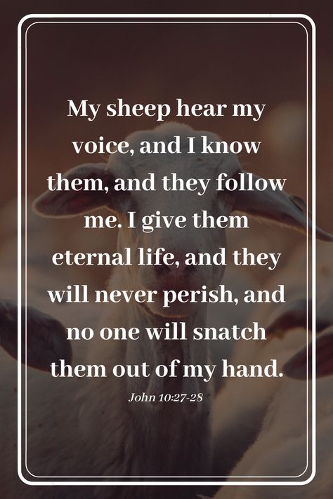 John 10:27-28, My Sheep Hear My Voice, John 10 27, John 10, Thank You Jesus, Art House, Favorite Bible Verses, Eternal Life, Bible Art