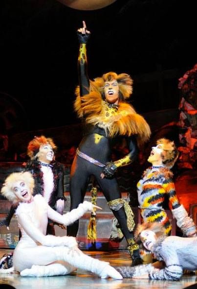 Victoria, Jemima, and Rumpelteazer: YAAAY TUGGER!!!! Tumblebrutus: I...will never...be...that...cool. *dies* That's it, that's the show. Cats the Musical Rum Tum Tugger, Cats Broadway, Cats 2019, Cats The Musical, Musical London, Cat Jumpsuit, Jellicle Cats, Cat Movie, Cats Musical