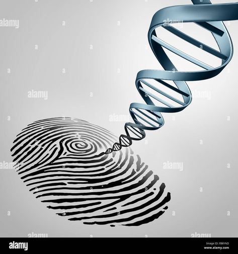 Dna Fingerprinting Images, Dna Fingerprinting Project, Genetics Aesthetic, 2025 Inspiration, Dna Fingerprinting, Project Cover Page, Understanding Dreams, Genetic Diseases, Paternity Test