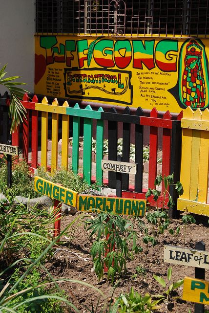 Garden at the Bob Marley museum - Kingston... Visited 3/2013! Bob Marley Museum, Rastafarian Culture, Nesta Marley, Jamaican Culture, Roots Reggae, Jamaica Vacation, Kingston Jamaica, Caribbean Culture, Jamaica Travel