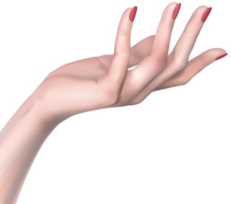 Creepy Hand, Hand Png, Woman Hand, Hand Photography, Hand Drawing Reference, Hand Images, Hand Reference, Body Anatomy, Poses References