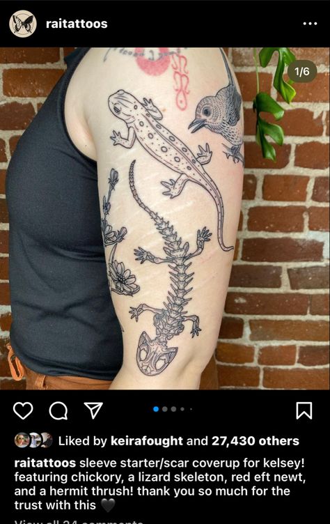 Eastern Newt Tattoo, Lizard Skeleton Tattoo, Newt Tattoo, Animal Skeleton Tattoo, Salamander Tattoo, Tattoo Skeleton, Print Making Designs, Axolotl Tank, Random Tattoos