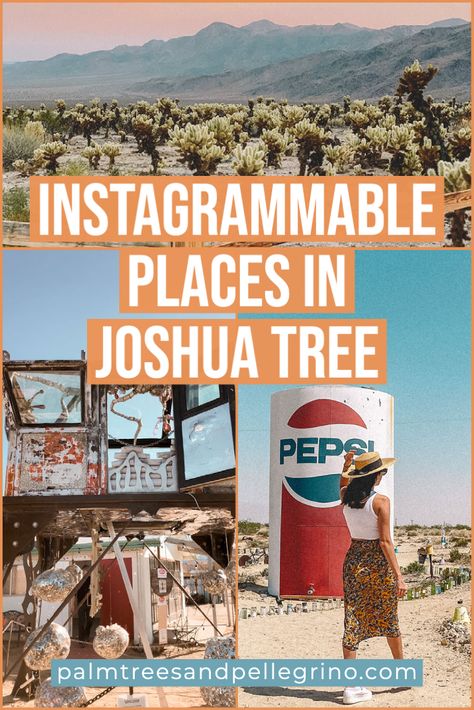 10 Most Instagrammable Places in Joshua Tree, California. Things to do in Joshua Tree. Joshua Tree National Park. Most Instagrammable Spots in Joshua Tree. Pioneertown. Glass Outhouse Gallery. #joshuatree #cabazondinosaurs #california Palm Springs And Joshua Tree, Things To Do Joshua Tree, Joshua Tree National Park Map, Men’s Desert Outfit, Autocamp Joshua Tree, Joshua Tree In December, Things To Do In Joshua Tree California, Joshua Tree Style, Places To See In California