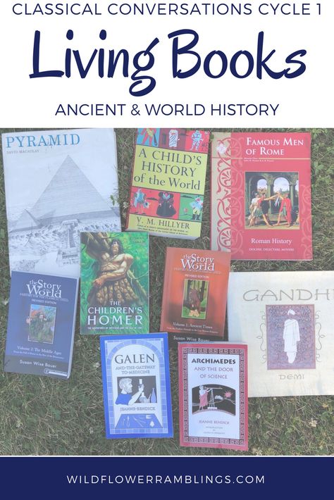 Classical Conversations Cycle 1, Cc Foundations, Classical Conversations Foundations, Rome History, Ancient World History, Homeschool Books, History Curriculum, Ap World History, Classical Education