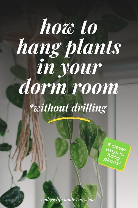 Do you want to add a bit of greenery to your dorm room, but don't know how to hang plants when you don't want to drill no holes in the ceiling? Don't worry! Because there are a few simple yet creative options for adding some new life to your space. We have 6 clever ways on how to hang plants indoors. Discover how to hang plants in a dorm room with ease! Dorm Hanging Plants, No Drill Plant Hanging, Dorm With Plants, Hang Plants From Ceiling Without Holes, Plants In Dorm, Plant Dorm Room College, Plants Dorm Room, Dorm Room Plants, Plants Ideas Indoor