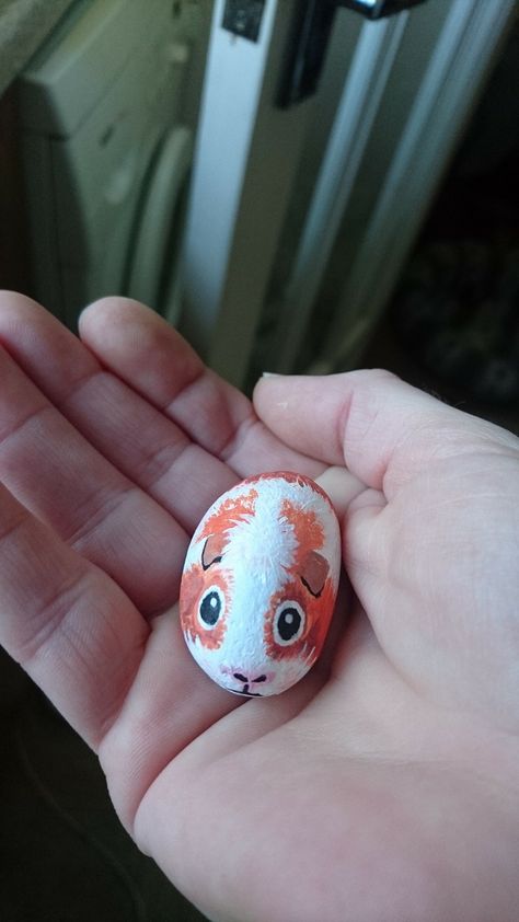 Pet Rock, Pocket Pet, Big Rock, Painted Rocks Diy, Pet Rocks, Animal Crafts, Painted Rock, A Rock, Rock Painting