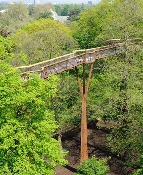 Bridge to Photosynthia Walking Bridge, Sky Walk, Pedestrian Walkway, Tree Canopy, Wooden Bridge, Tree Top, Pedestrian Bridge, Bridge Design, Kew Gardens