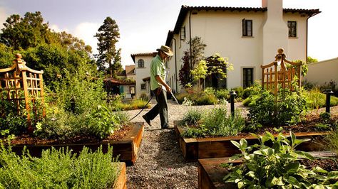 Lyons gallery Northern California Garden, Socal Garden, California Garden Design, California Kitchen, California Backyard, Gardening Services, Kitchen Gardens, Small Vegetable Gardens, California House