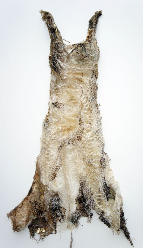 charm | Louise Richardson Louise Richardson, A Level Textiles, Fashion Garments, Look Festival, Snake Skin Dress, 자수 디자인, Art Dress, Look Cool, Textile Art