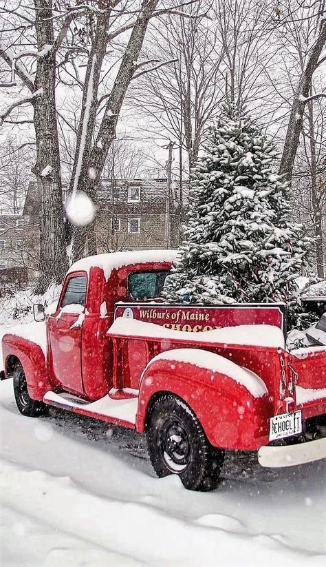 Truck Delivery, Christmas Dreaming, Christmas Red Truck, Xmas Wallpaper, Christmas Phone Wallpaper, Cute Christmas Wallpaper, Christmas Feeling, Christmas Lovers, Holiday Wallpaper