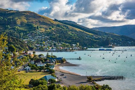 8 Small Towns in New Zealand the Guidebooks Ignore – BootsnAll Travel Articles Hobbit Homes, New Zealand Cities, Dark Tide, New Zealand Adventure, Thermal Pool, Bay Of Islands, Visit New Zealand, Milford Sound, Holland America