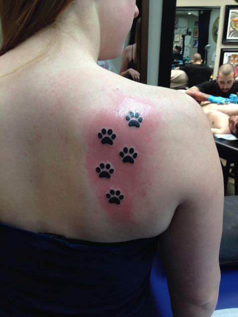 Looking over shoulder Dog Paw Tattoo Shoulder, Paw Print Shoulder Tattoo, Paw Tattoos, Veterinary Nursing, Looking Over Shoulder, Tattoos For Dog Lovers, Pawprint Tattoo, Dog Paw Tattoo, Wicked Tattoos