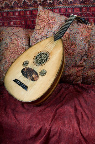 Oud Instrument, Half Elf Bard, Howl Jenkins, Indian Musical Instruments, Tiefling Bard, Mosque Art, Castle Aesthetic, Yennefer Of Vengerberg, Fantasy Love