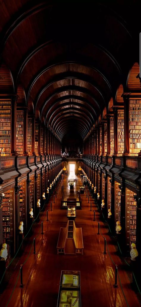 Dublin Library, Trinity Library, Trinity College Library, College Wallpaper, Trinity College Dublin, Famous Youtubers, Trinity College, Library Of Congress, Dublin