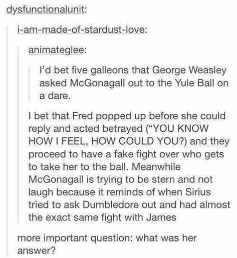 23 Things That Definitely Happened In The Harry Potter Universe Maxon Schreave, Weasley Twins, Harry Potter Headcannons, George Weasley, Harry Potter Jokes, Harry Potter Marauders, Harry Potter Obsession, Mischief Managed, Harry Potter Universal