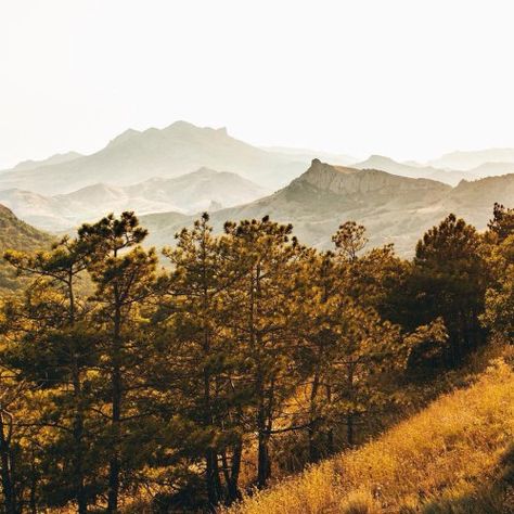 Karadag Scientific Station, #Crimea #PennsylvaniaStation #MountScenery #Shrubland Wilderness, National park, Biome - Follow #extremegentleman for more pics like this! Wanderlust Decor, Wanderlust Quotes, Most Beautiful Images, World Images, Over The River, Biome, Amazing Nature Photos, Travel Hacks, Life Is An Adventure