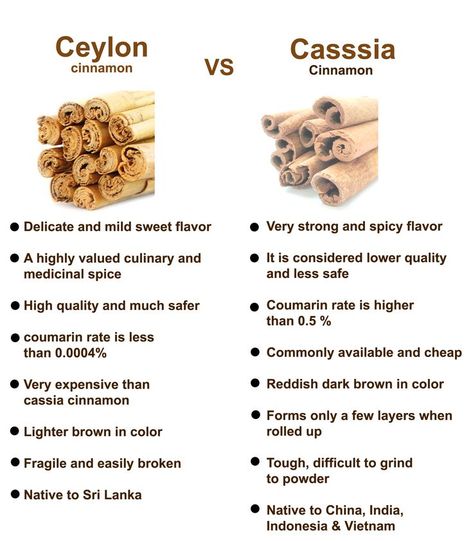 Vitamin Sources, Cassia Cinnamon, Tea Herbs, Natural Tea, Ceylon Sri Lanka, Tree Family, Ceylon Cinnamon, Cinnamon Recipes, Spice Tea