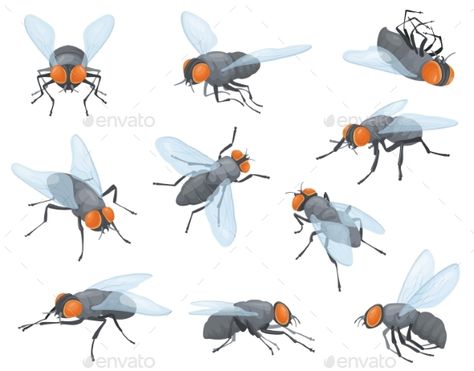 Houseflies Housefly Illustration, Fly Character Design, Fly Illustration Insect, Inktober 2024, Tattoo Reference, 2d Design, Detailed Drawings, Pin Image, Vector Illustrations