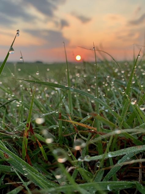 Texas Sunrise [OC] [1600x1200]  Click the link for this photo in Original Resolution.  If you have Twitter follow twitter.com/lifeporn5 for more cool photos.  Thank you author: https://bit.ly/3iiCNWn  Broadcasted to you on Pinterest by pinterest.com/sasha_limm  Have The Nice Life! Texas Sunrise, Diorama Ideas, Sunrise Landscape, Beautiful Profile Pictures, Alight Motion, Wallpaper Nature Flowers, National Photography, Beautiful Locations Nature, Art Prints Quotes