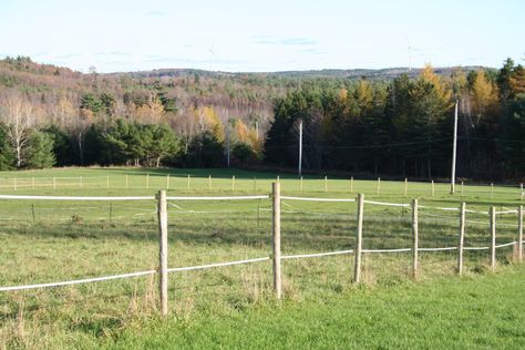 When you keep horses they need a lot of space and making a paddock by fencing a large area is not exactly cheap. It is also usually time consuming. Electric fencing provides a reasonable cost answer. Diy Horse Fencing, Paddock Fencing, Building A Gate, Horse Pens, Electric Fencing, Horse Paddock, Farmhouse Makeover, Diy Horse Barn, Paddock Paradise