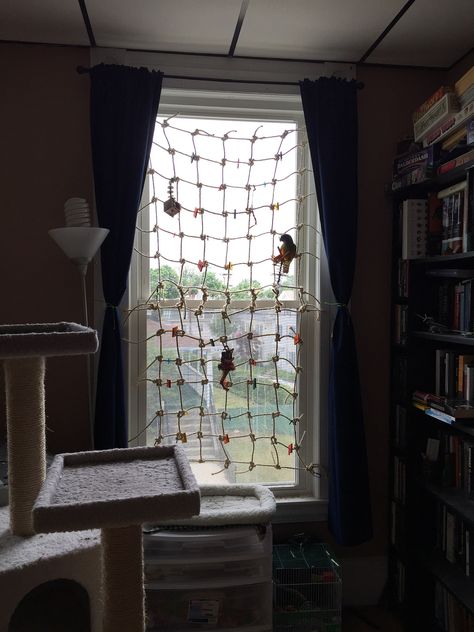 Making Windows Safer With Avian Nets Homemade Bird Toys, Diy Parrot Toys, Diy Bird Toys, Parrot Stand, Pet Bird Cage, Parrot Pet, Bird Aviary, Parrot Cage, Bird Care