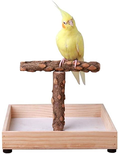 Parrot Play Stand, Cockatiel Toys, Diy Bird Toys, Parrot Stand, Bird Sitting, Modern Farmhouse Bathroom Rug, Grey Parrot, Bird Stand, Stables Design