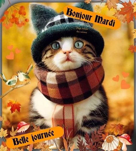 Bon Mardi, The Eighth Day, Good Morning, Gif