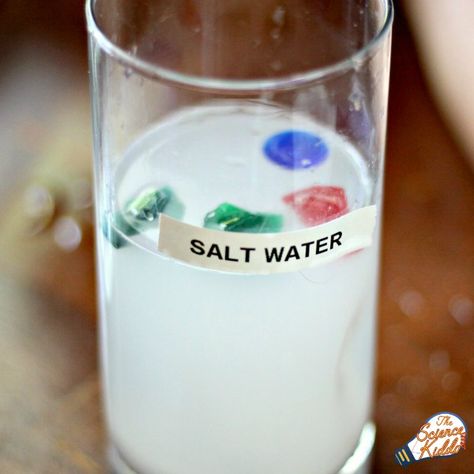 This super easy salt water experiment is the perfect science activity to teach kids about the density of salt and fresh water. Great for an ocean unit! Salt Water Experiment, Ocean Science Experiments, Ocean Activities Preschool, Science Experiments Kids Preschool, Ocean Theme Preschool, Water Experiments, Ocean Projects, Ocean Unit, Science Experiments For Preschoolers